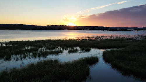 Sunlight over Lake on Swamp