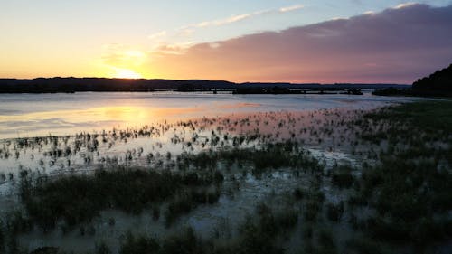 Lake on Swamp at Sunset