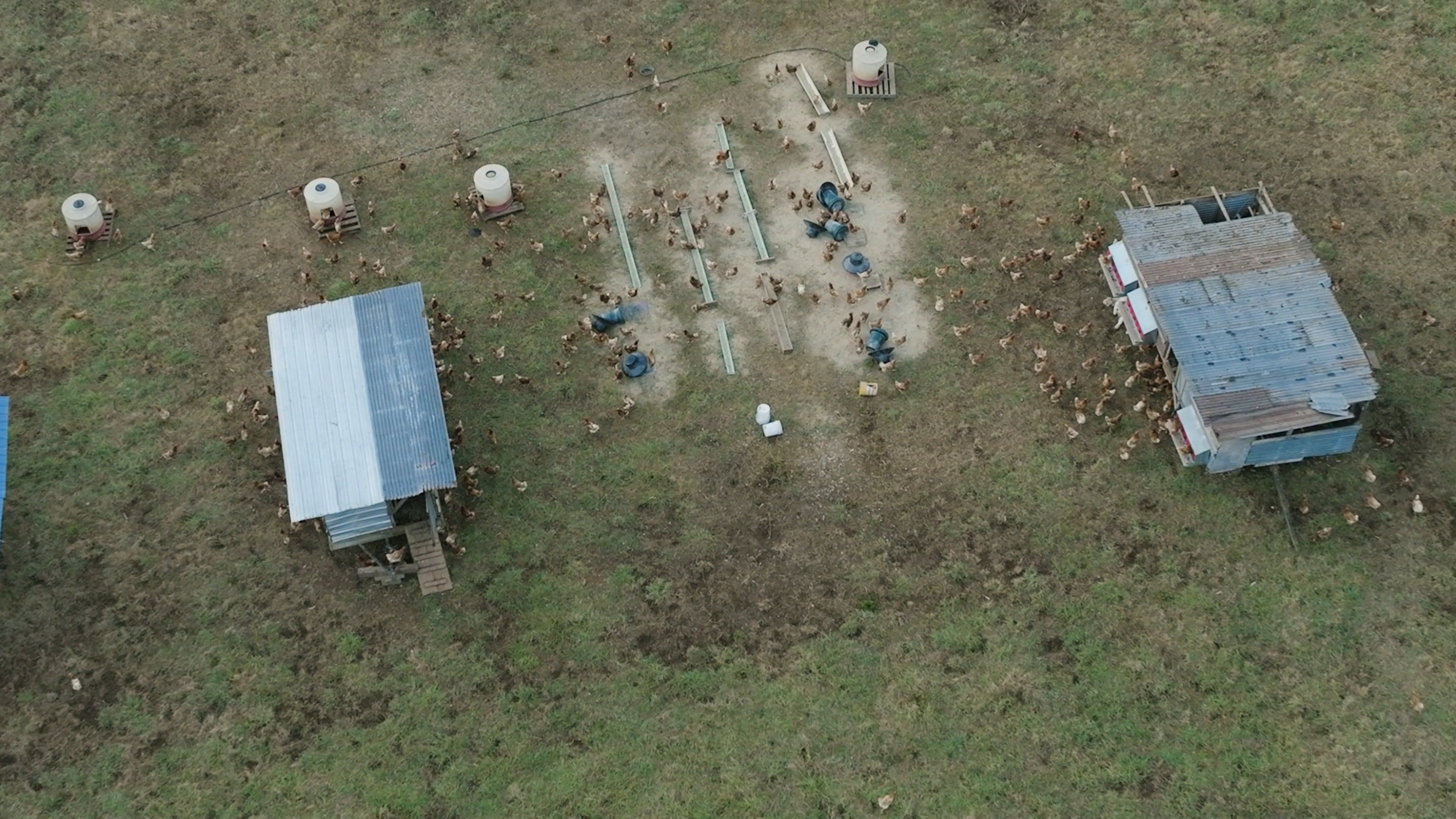 Poultry Farmer video