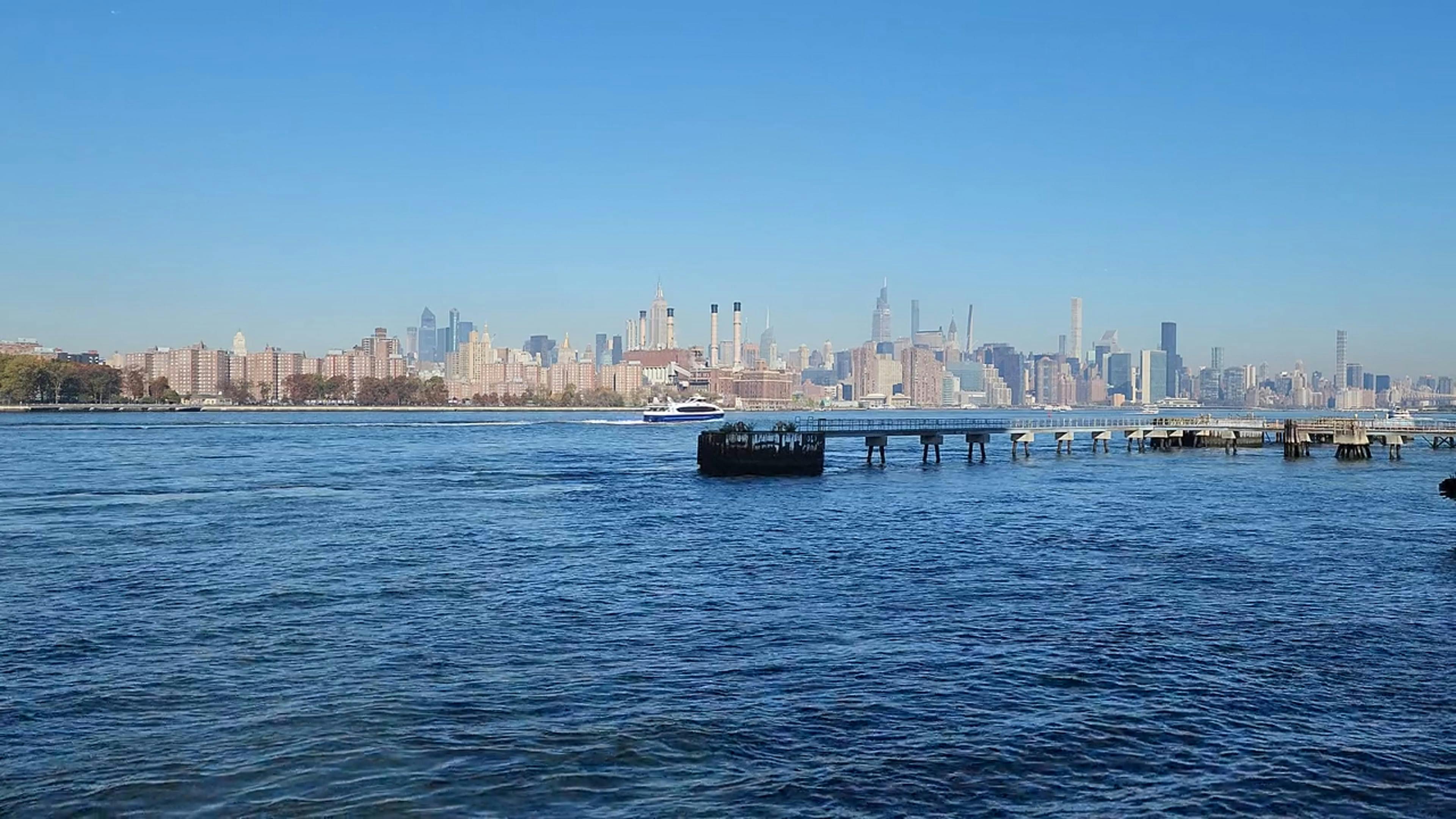 Urban trees, like these trees in New York, can help reduce temperatures
