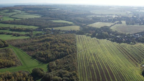 Drone Footage of a Farmland