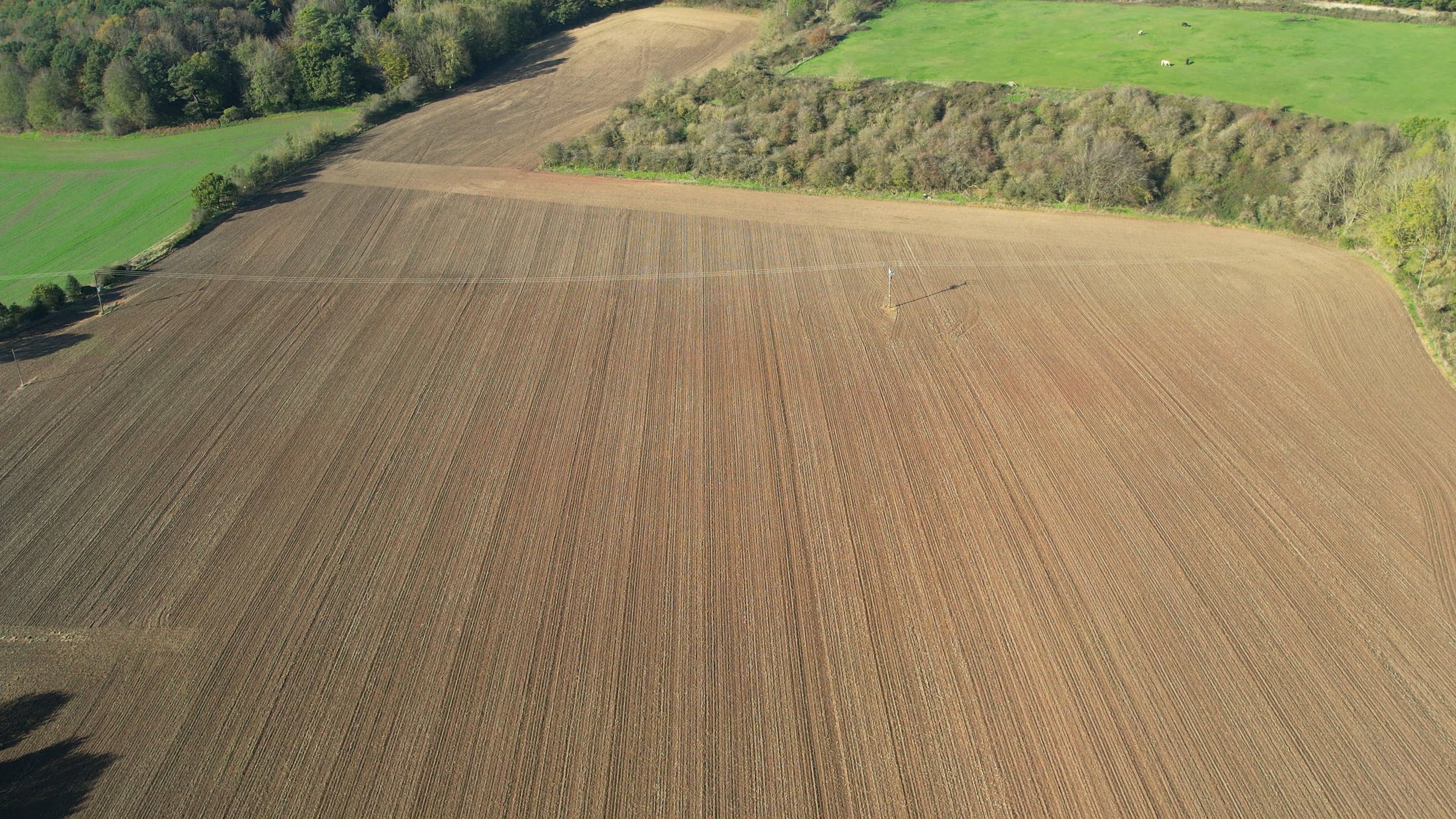 Drone Footage of Green Grass Field Free Stock Video Footage, Royalty ...