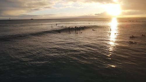 Surfers Riding Waves at Sunset 