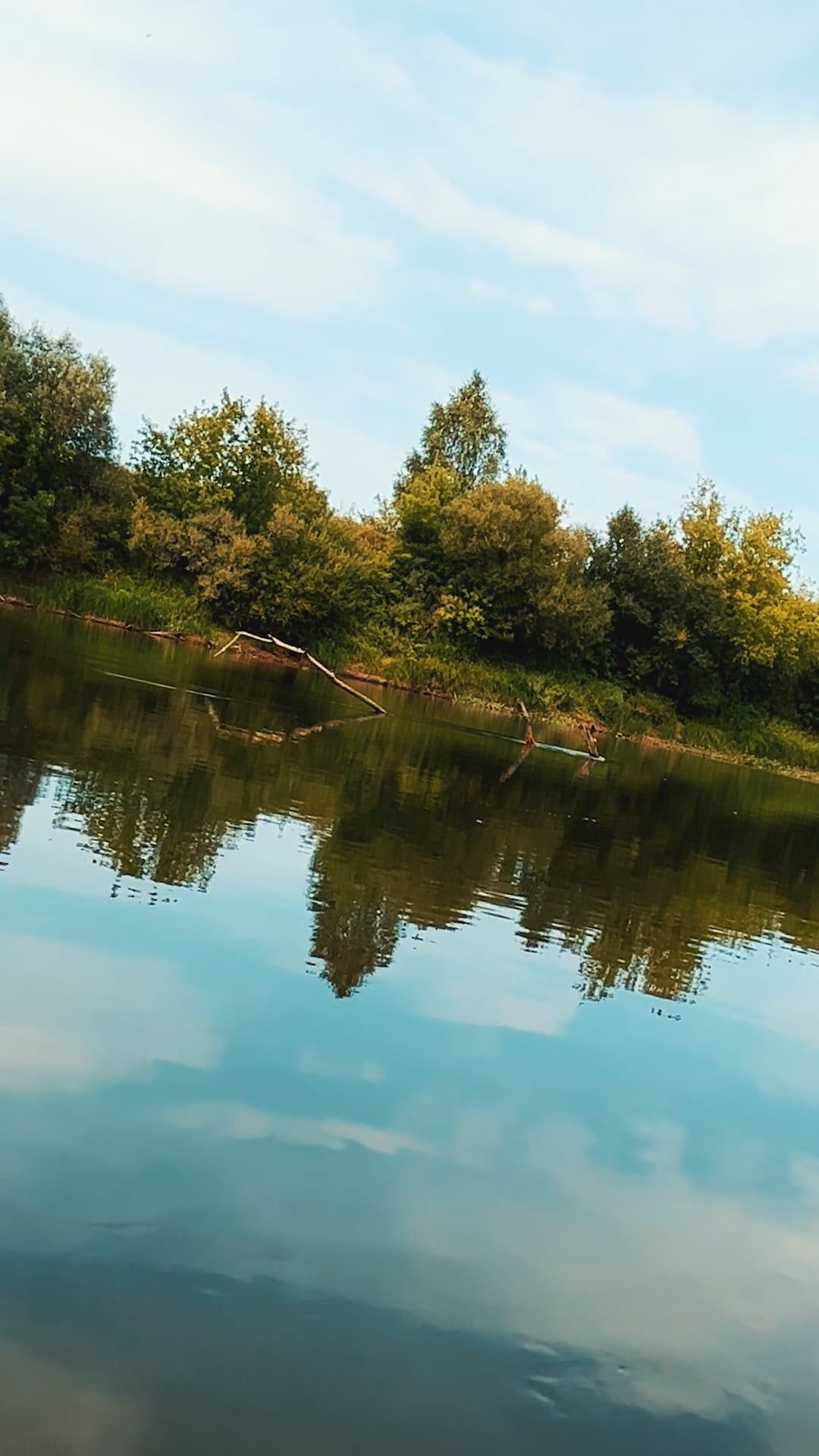 Video by Dmitry Marchenkov