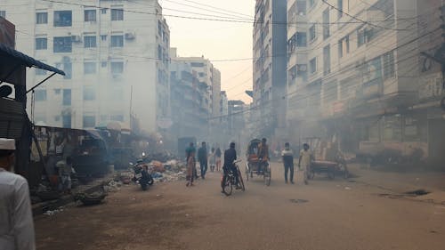 Environmental Pollution in the City