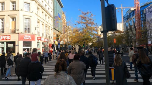 Pedestrians Crossing the Street in the City of Antwerp, Belgium 