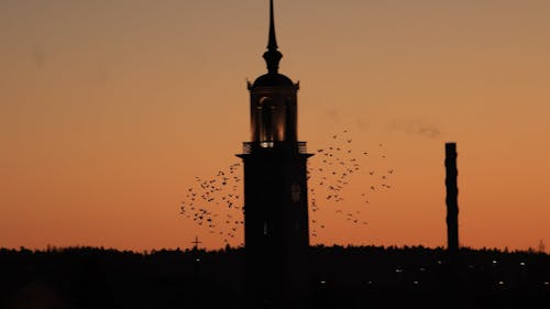 Flock of birds flying by church autumn sunset canon R6 from 24 104 F4
