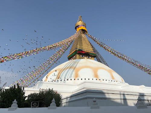 Birds Flying over Temple in Nepal