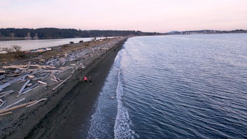 Drone Footage of People Walking on the Coast of Vancouver Island 