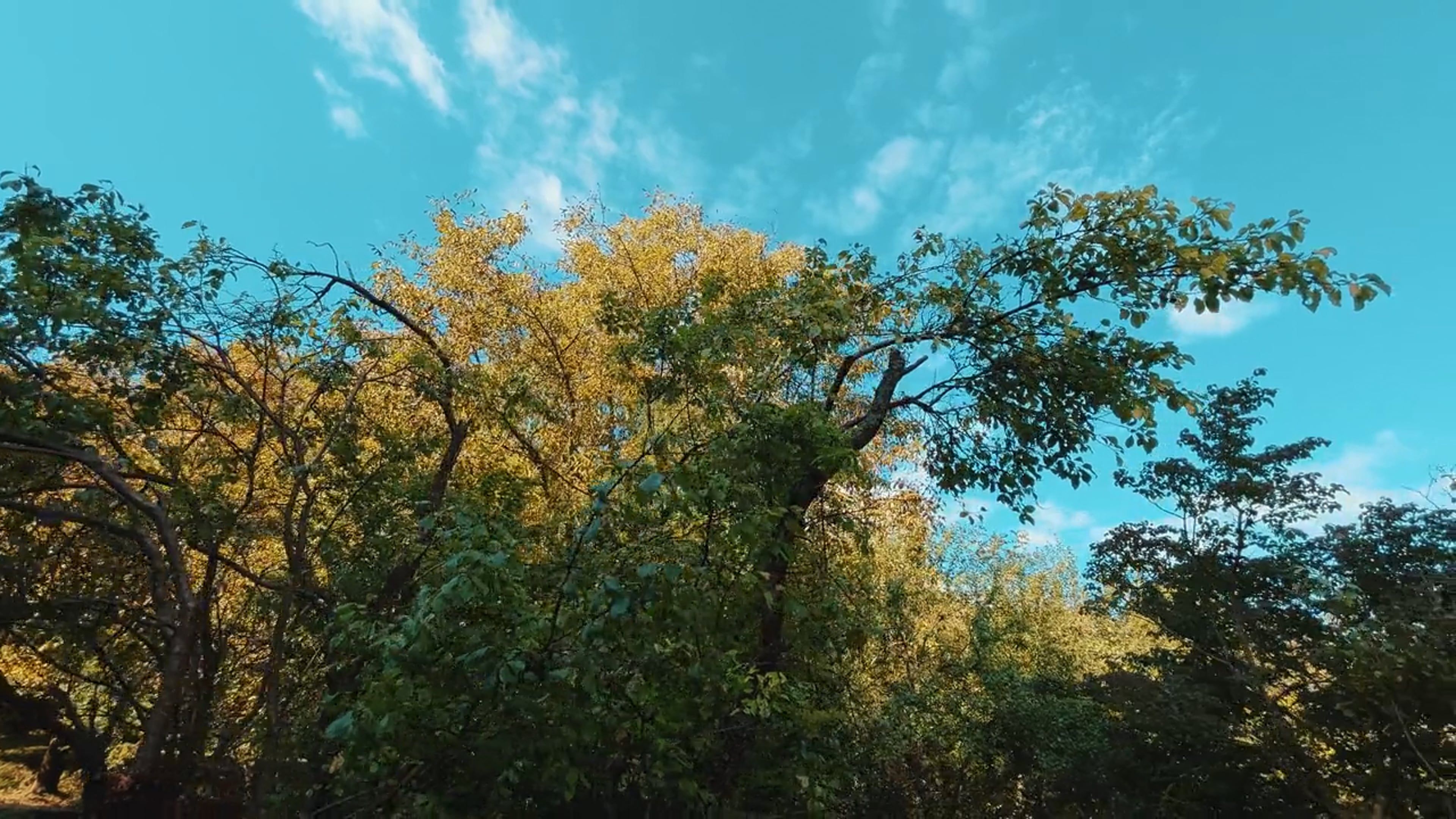 Video by Dmitry Marchenkov