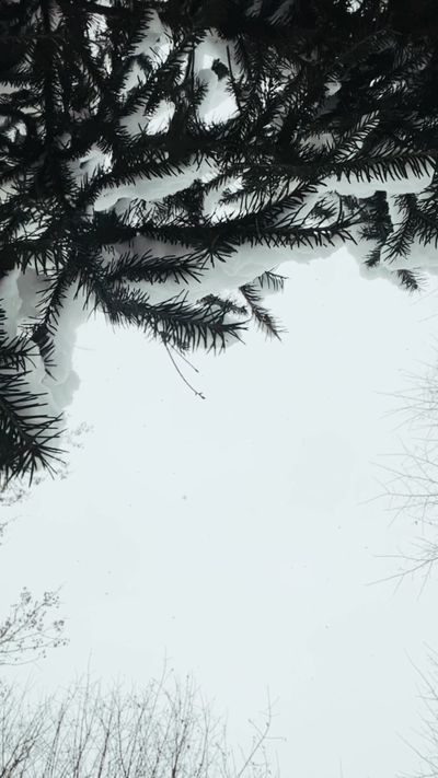 Viktorya Sergeeva 🫂's fantasy landscape cinematic video
