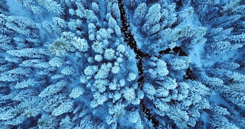 Vista Aérea De Un Paisaje Invernal