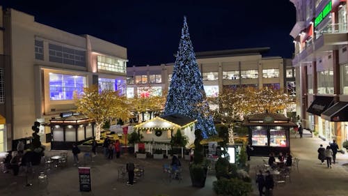 Christmas Tree on Town Square