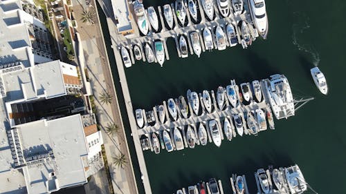 Motorboats Moored in Town