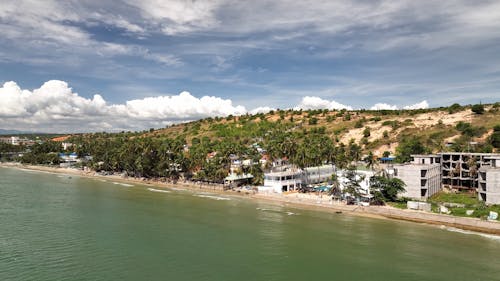 Palm Trees and Houses on Seashore