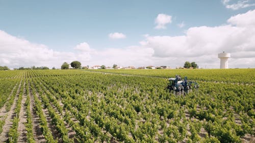 Tractor on Field in Vineyard