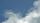 birds in sky