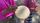 drum