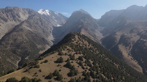 Trees on Mountains in Birds Eye View