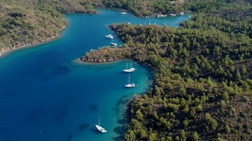 Sailboats on Body of Water