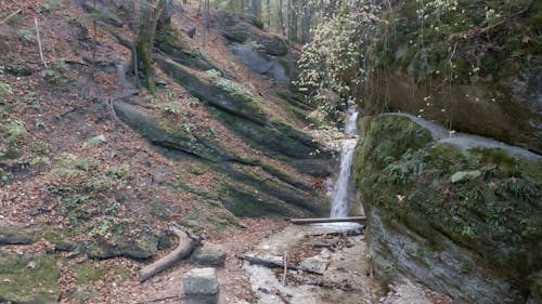 A Person Ziplining over a Cascade in a Forest 