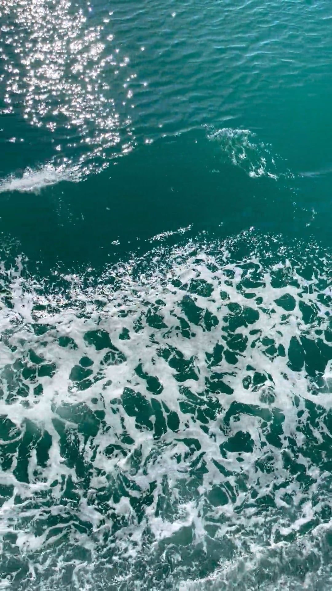 Video by Peggy Anke