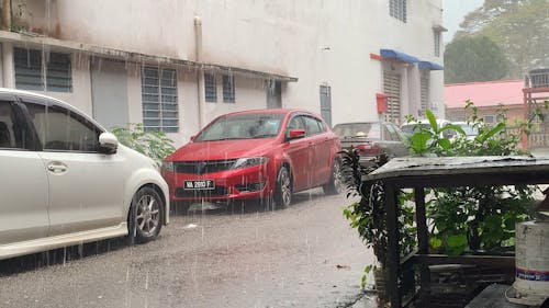 Heavy Rain Falling on Parked Cars 