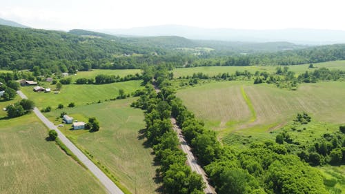 Aerial View of Green Farm Fields and Forest Trees