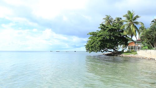 A Beautiful Beach Resort