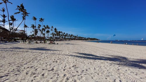 A Beach Sand with Trees Near the Sea Under the Blue Sky