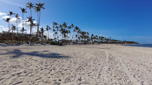 A Point of View of a Person Walking on the Beach