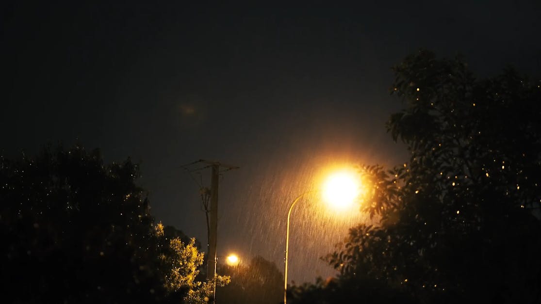 rainy night nature