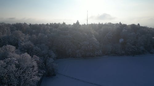 An Aerial Footage of a Snow Covered Ground with Trees