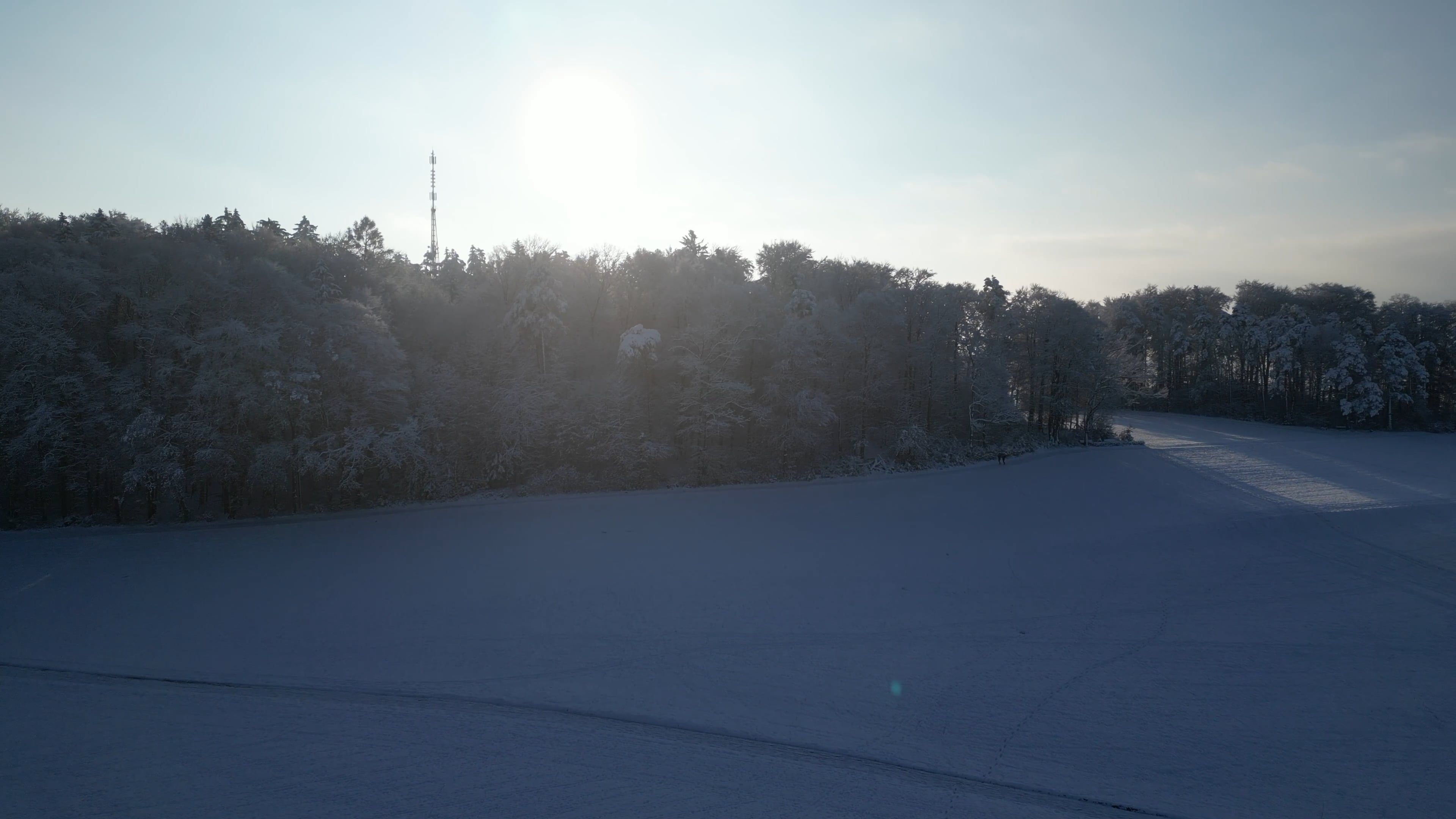 An Aerial Footage of a Snow Covered Ground with Trees Free Stock Video ...