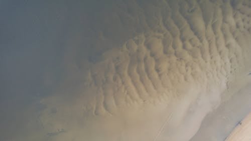 An Aerial Footage of a Beach Near the Green Trees