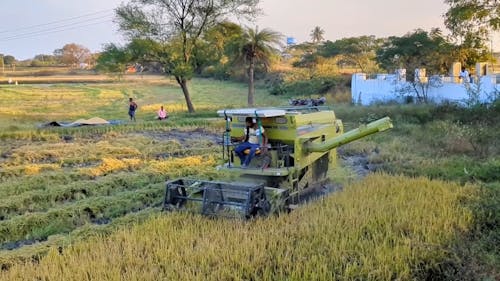 Farmer Driving a Harvester on a Farm