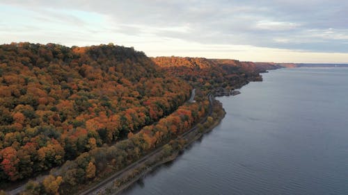 Drone Footage of a Coastal Road and a Colorful Autumn Forest 