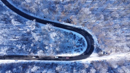 Top View of Vehicles on a Road in a Winter Landscape