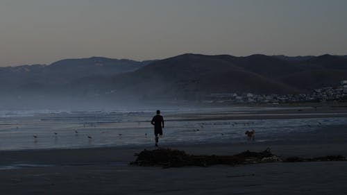 A Man Following a Dog In The Beach