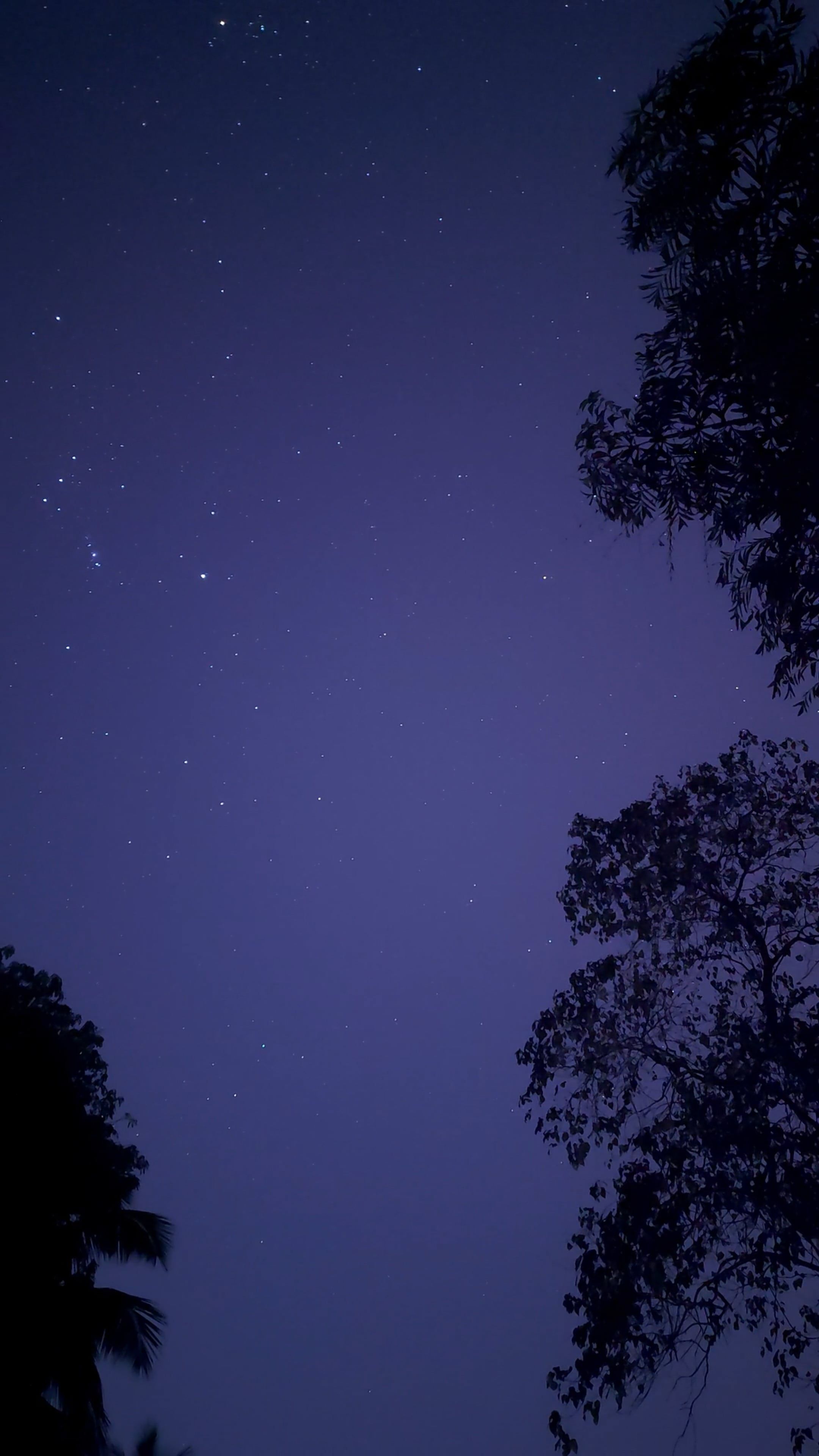 time lapse of a starry night sky 14922976 — free pexels stock footage