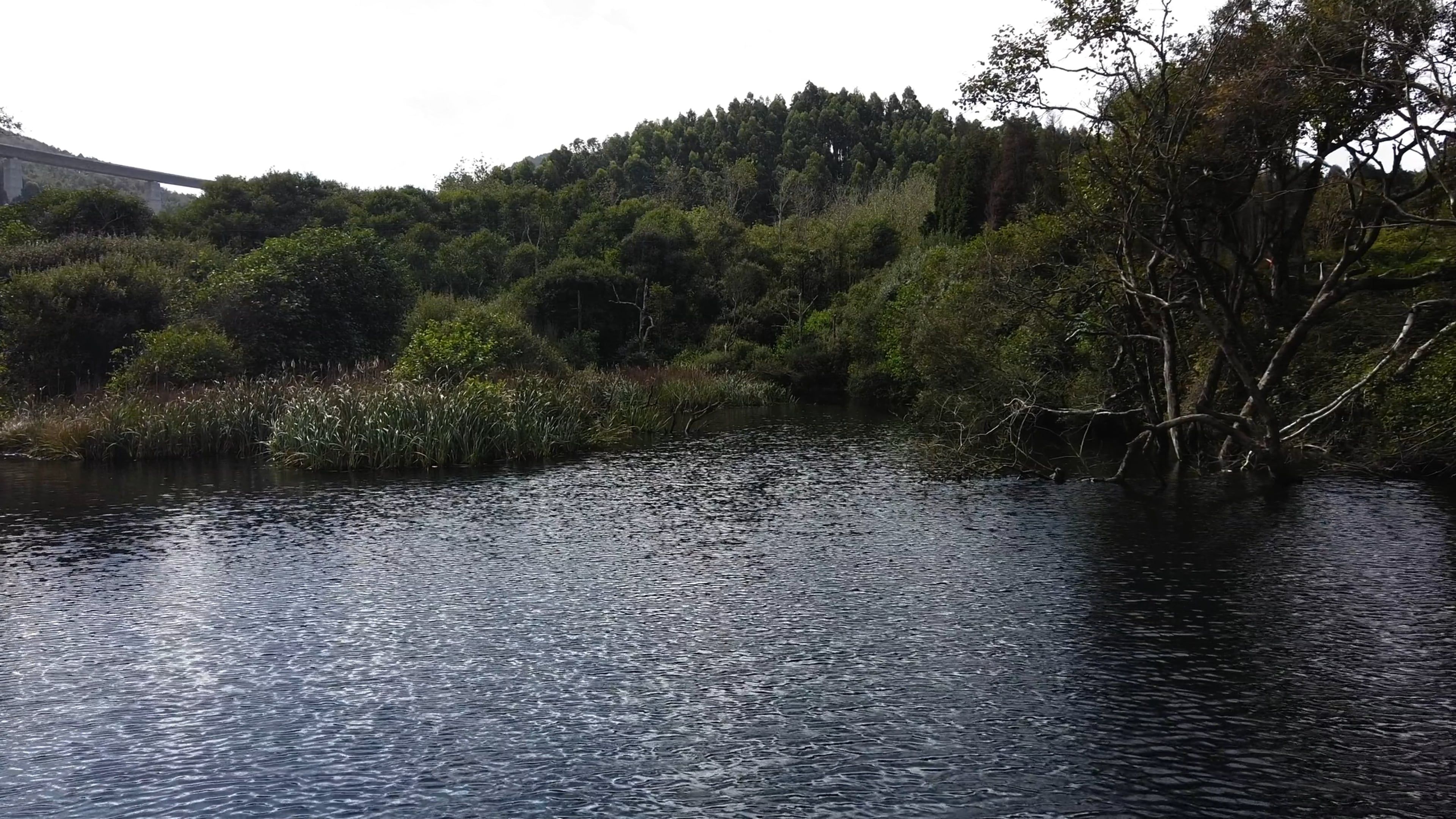 A Drone Footage of a River Between Green Trees Free Stock Video Footage ...