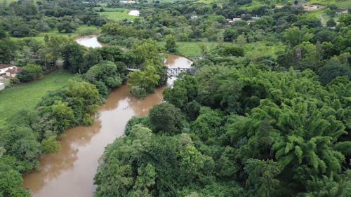 Drone Footage of Green Trees in Between River