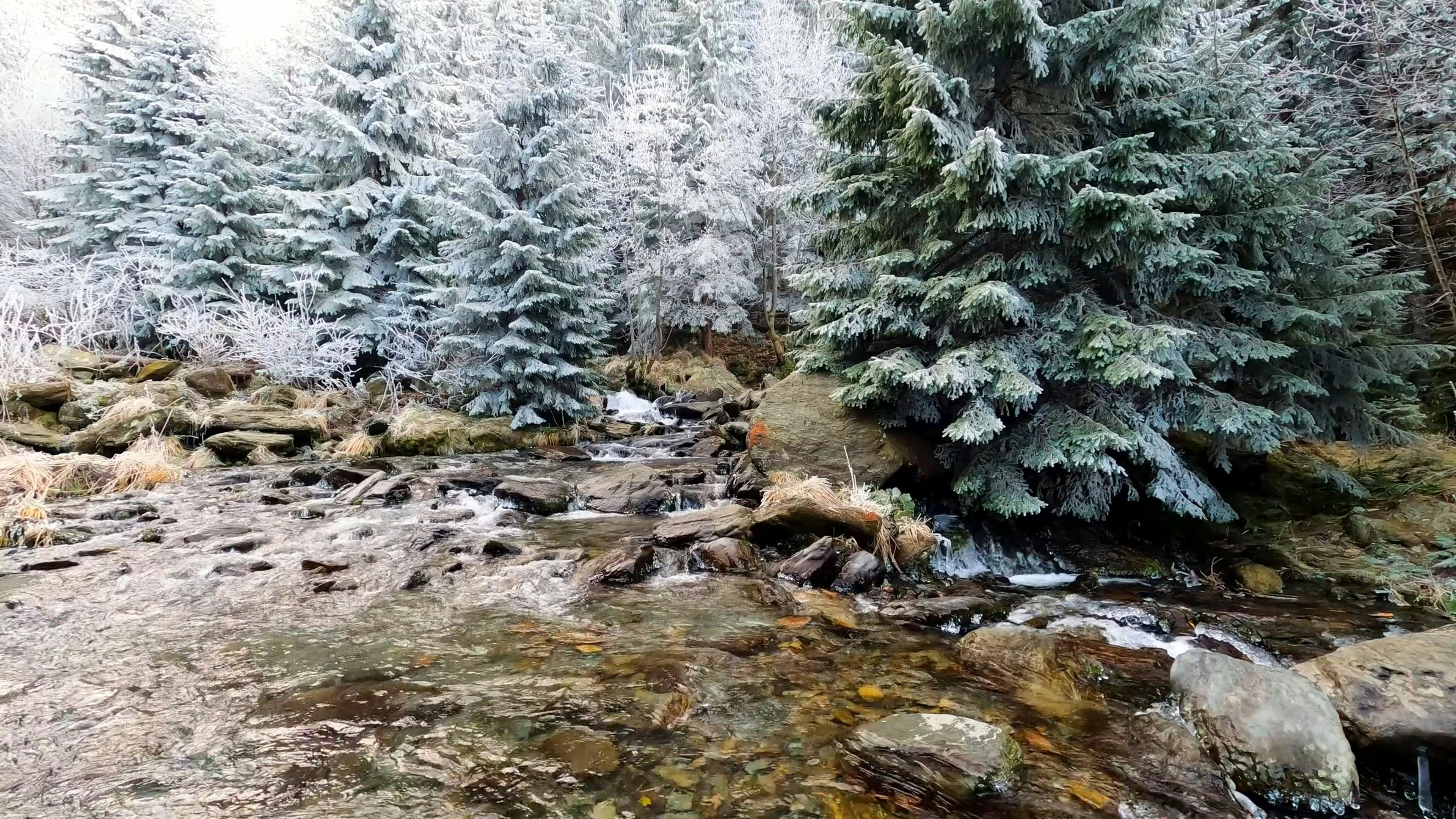 Warriors Vs Wizards Stream Reddit Videos, Download Free 4k Stock Video