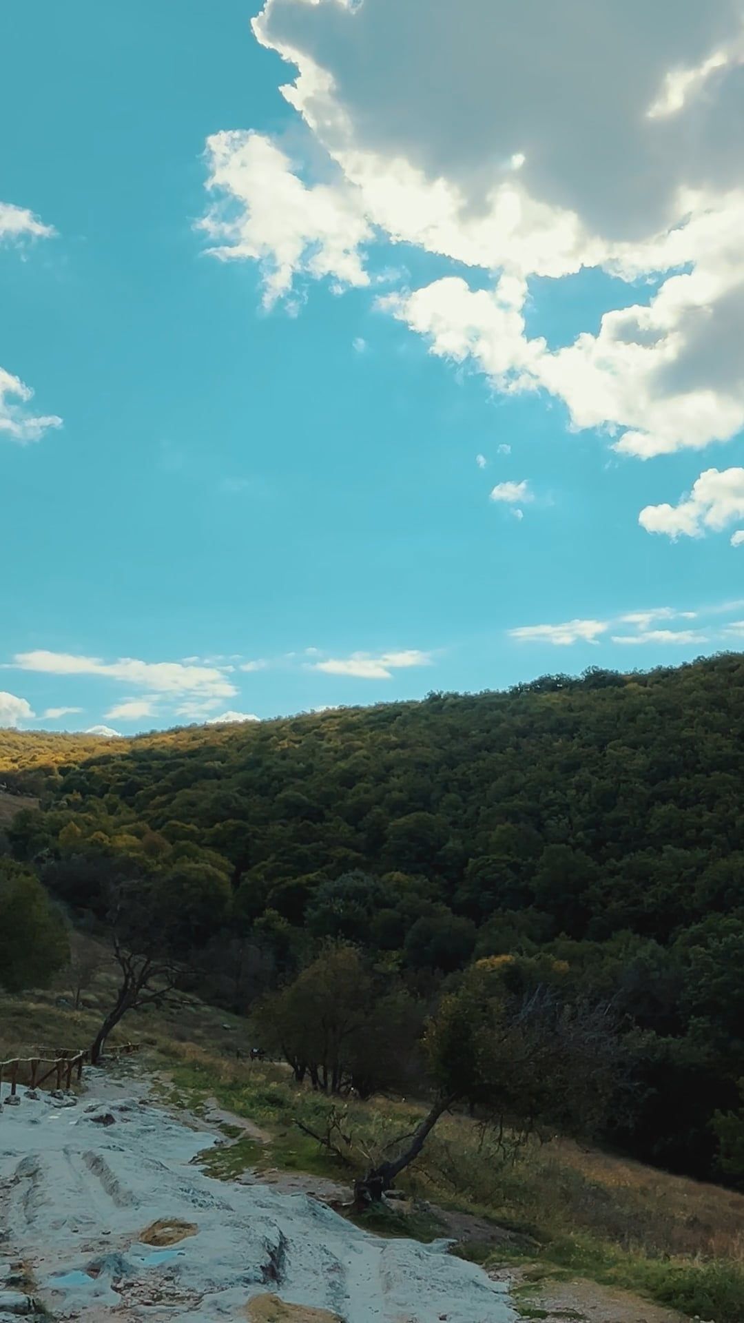 Video by Dmitry Marchenkov
