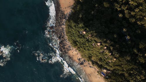 A Drone Footage of a Beach Near the Green Trees