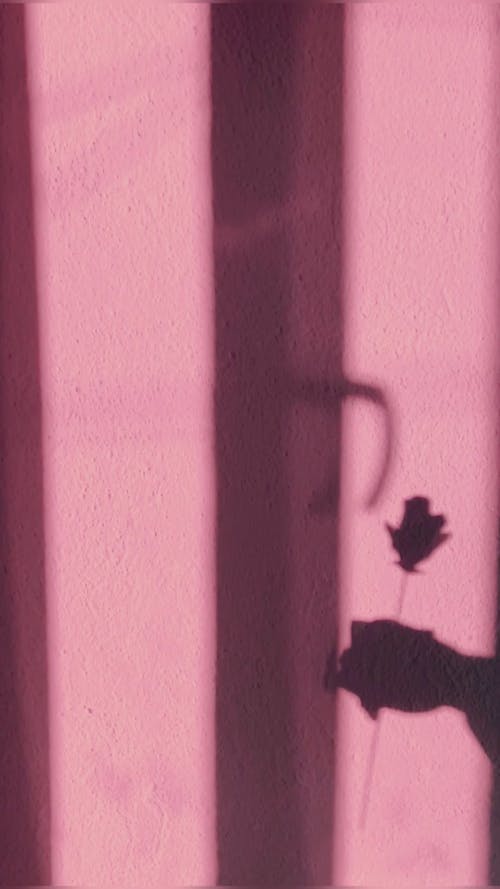 Silhouette of Flower