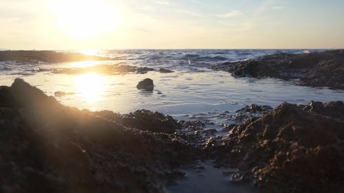 Ocean Scenery at Sunrise