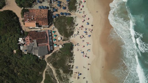 Aerial View of Tourists Enjoying a Day at a Sandy Beach 
