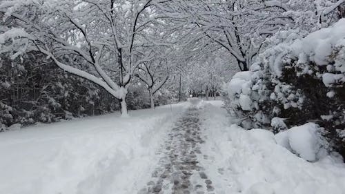 Point of View of a Person Walking in a Snow Covered City Park