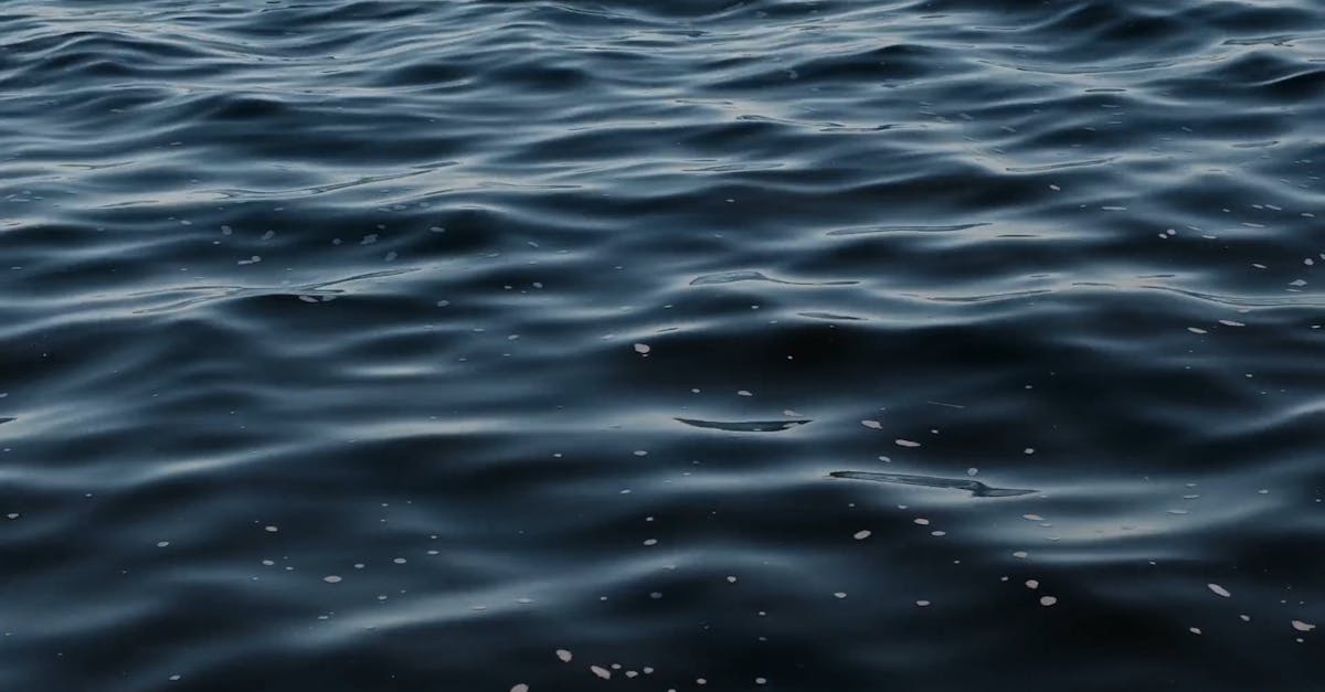 Ripples on the Surface of a Body of Water Free Stock Video Footage ...